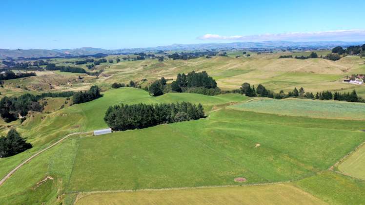 412 France Road Matamau_6