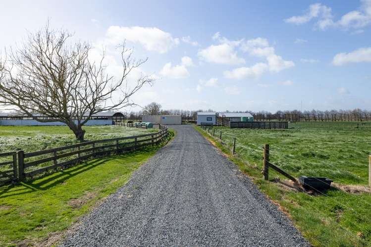 284 Shewan Road Gordonton_17