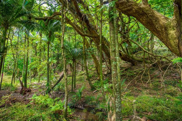 14 Tahunatapu Road Parua Bay_45