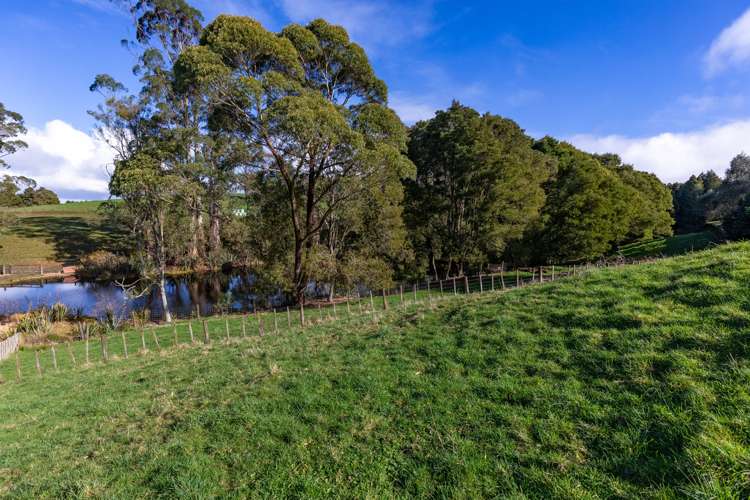 101 Logan Road Pukekawa_21