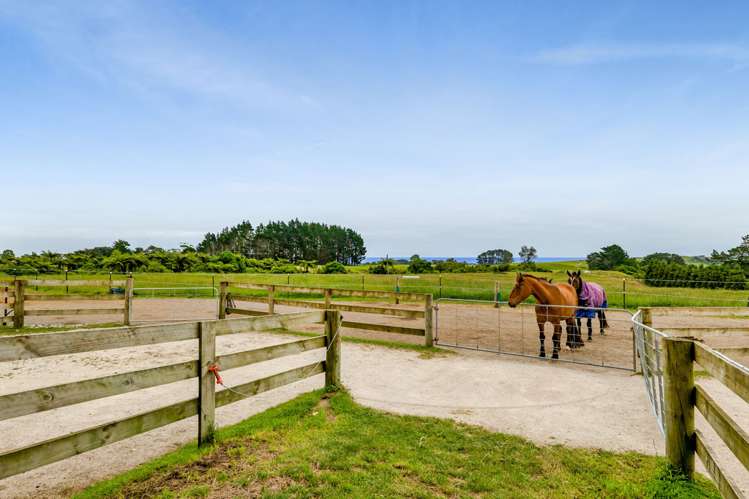 292a Plymouth Road Koru_28