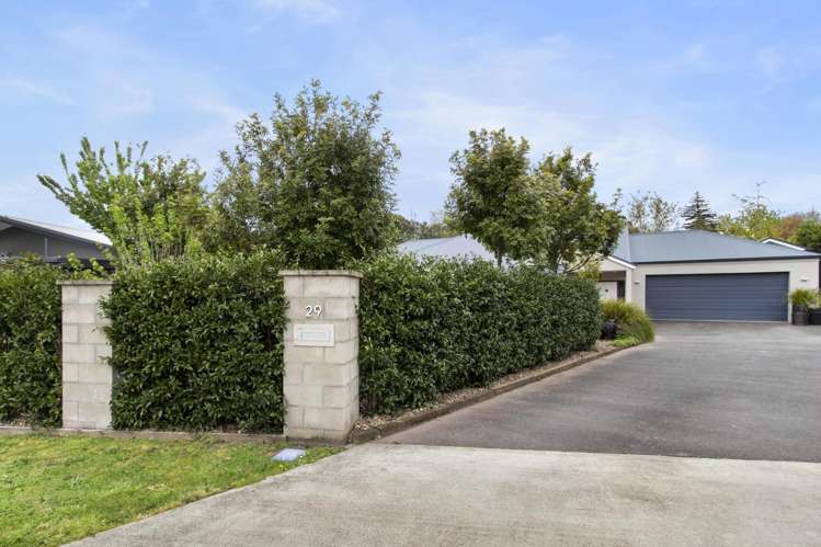 29 Williamson Street 11373_19