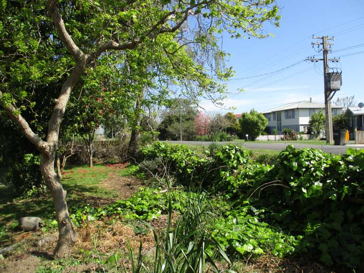 62 Junction Road Paeroa_18