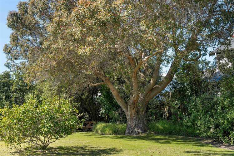 232 Rangi Ave Whangamata_9