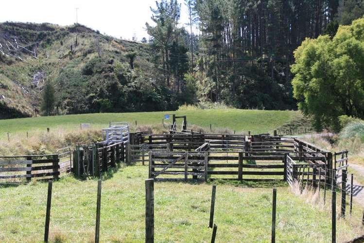 698 Mangaoapa Road Matau_13