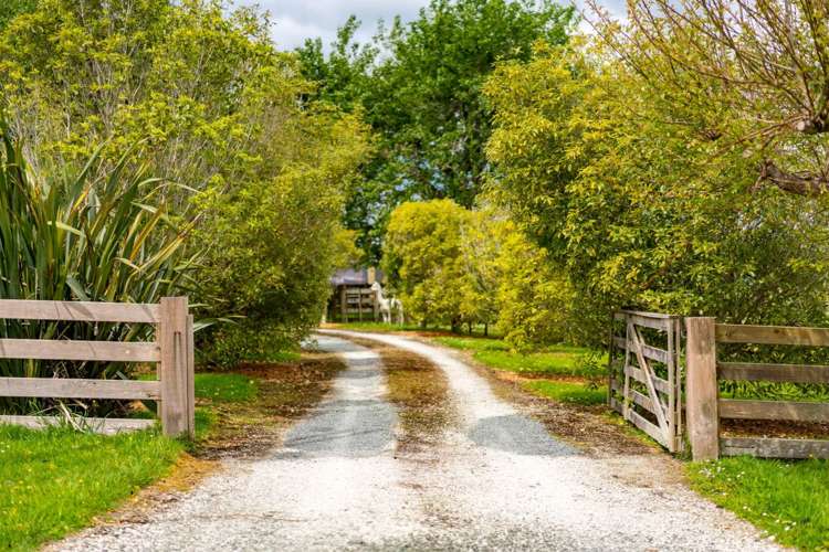 39a Cemetery Road Te Arai_27