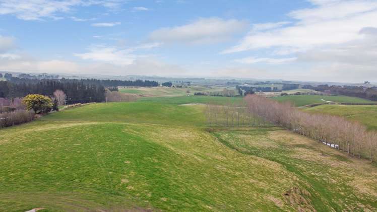 81 Waimotu Road Maheno_14