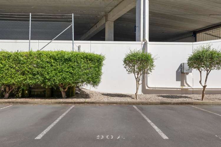 90a Michael Jones Drive Flat Bush_16