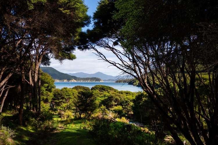 Lot 4 + 5 Te Aroha Bay, Otanerau Bay Marlborough Sounds_58