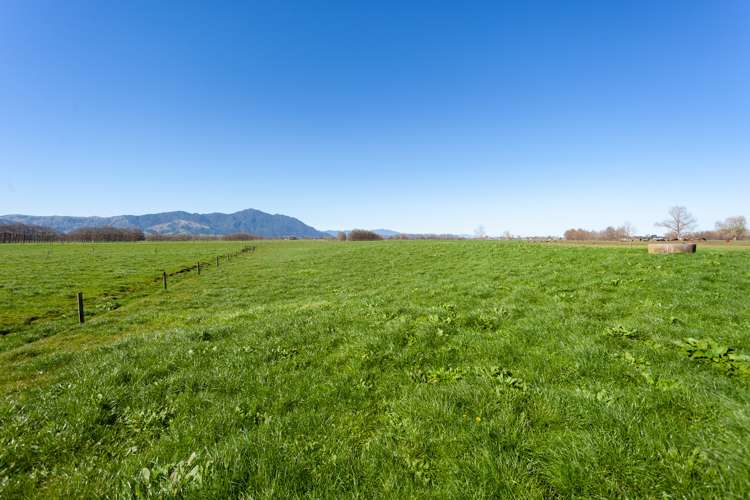 382 Tautiti Road Te Aroha_15
