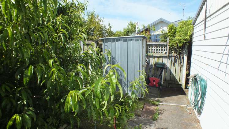 51 Wilkin Street Tinwald_11