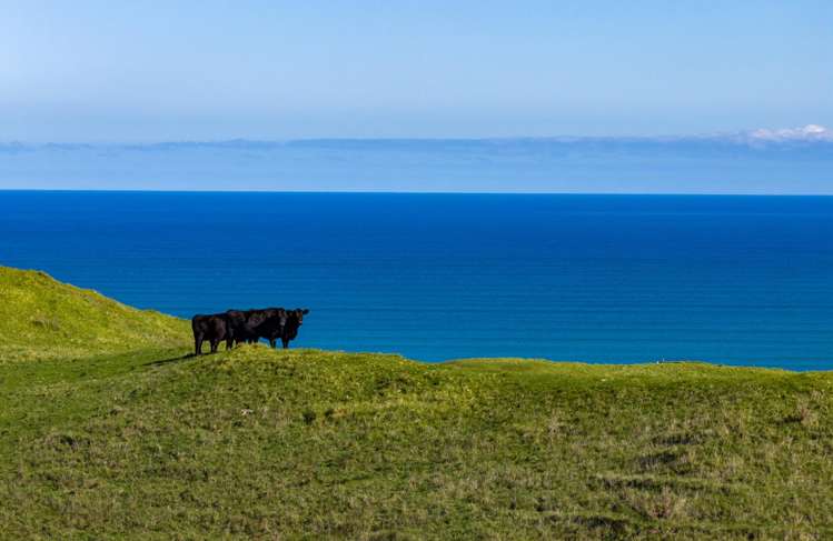 767 Te Akau Coast Road Te Akau_26