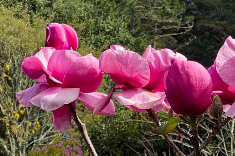 16 Mccallum Drive Sandspit_23