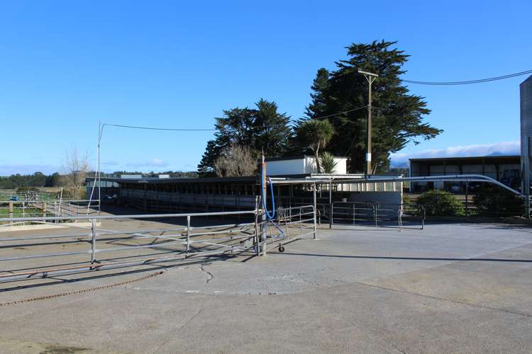 109 Vaughan Road Takapau_15