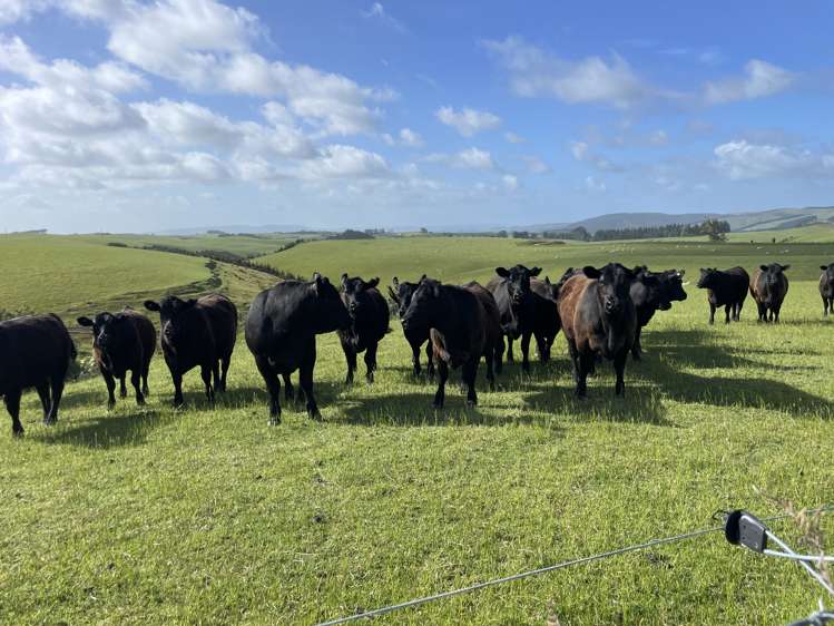 759 Waitahuna Gully Road Manuka Creek_21