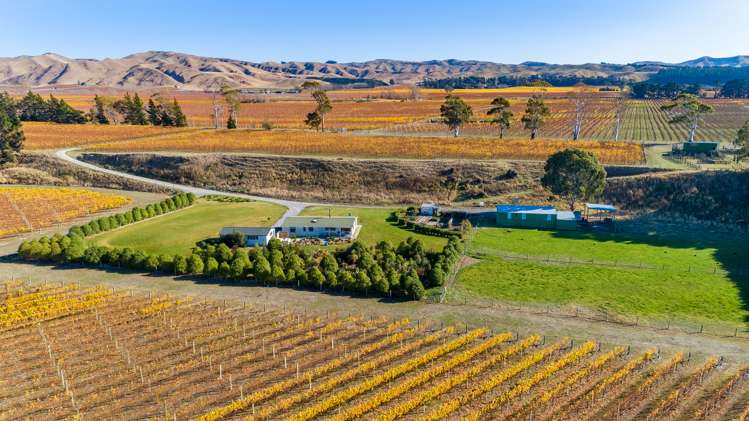 1523 Redwood Pass Road Seddon_8