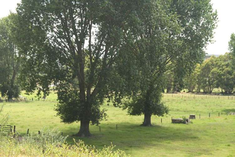 44 Te Ngaio Point Road Tapora_14