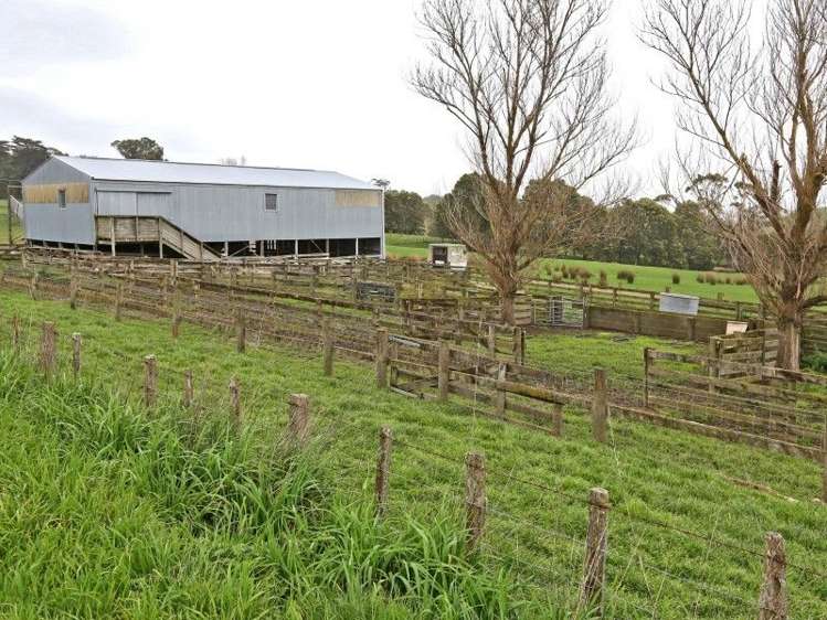 93 Bird Road Central Hawkes Bay Country_17