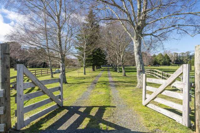 57 Tiverton Downs Road Broadlands Forest_2