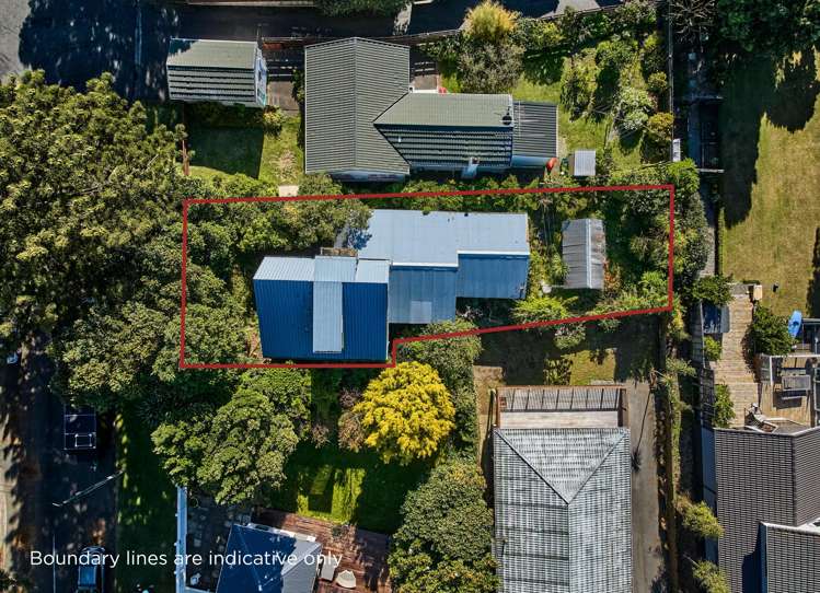 9 Nikau Street Eastbourne_21