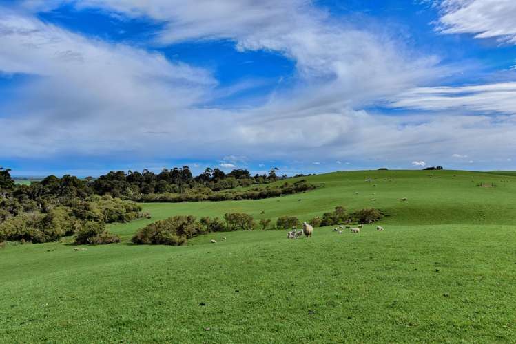 283 Otara Haldane Road Wyndham Surrounds_9