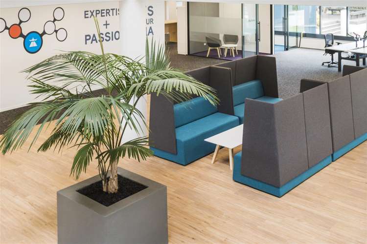 17 Hargreaves Street Freemans Bay_29