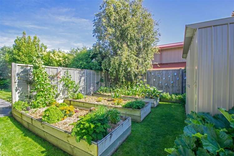 46 Ashwood Drive Witherlea_27