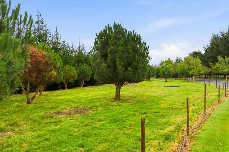 71 Blackhead Road Blackhead_34