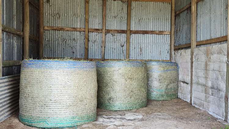 71 Lepper Road Inglewood_14