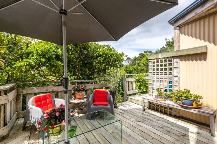 233a Omata Road Spotswood_6