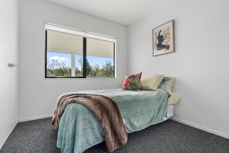 2569 State Highway 2 Greytown_15