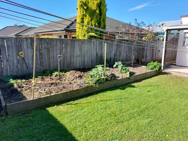 86 West Belt Rangiora_15