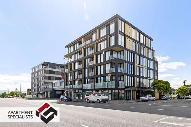 367 Great North Rd Grey Lynn_2