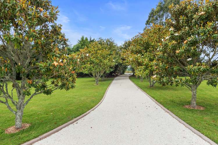 230 Mystery Creek Road Ohaupo_19