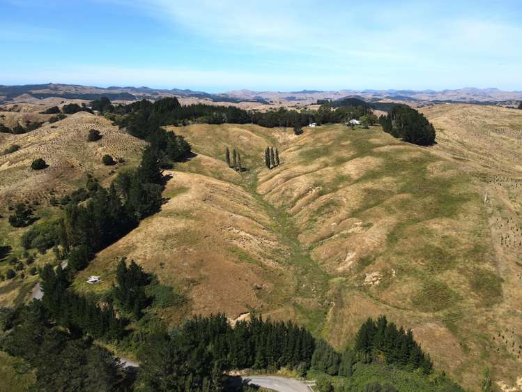 Esdaile Road Dannevirke_13