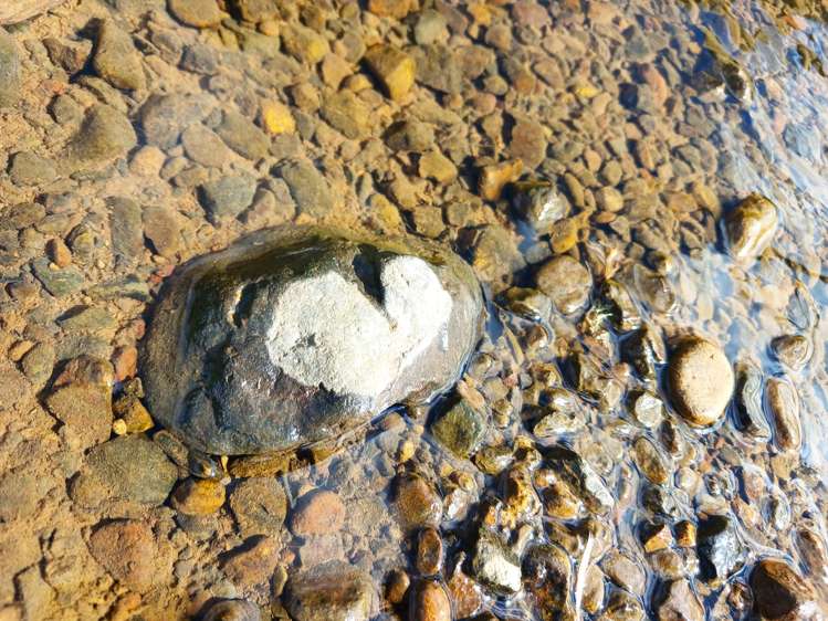 Larmer Road Kaitaia_14