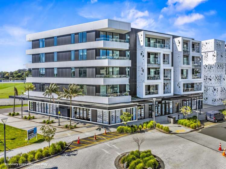 223 Greenlane West Epsom_6