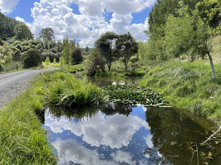 9 Karapiro Road Karapiro_8