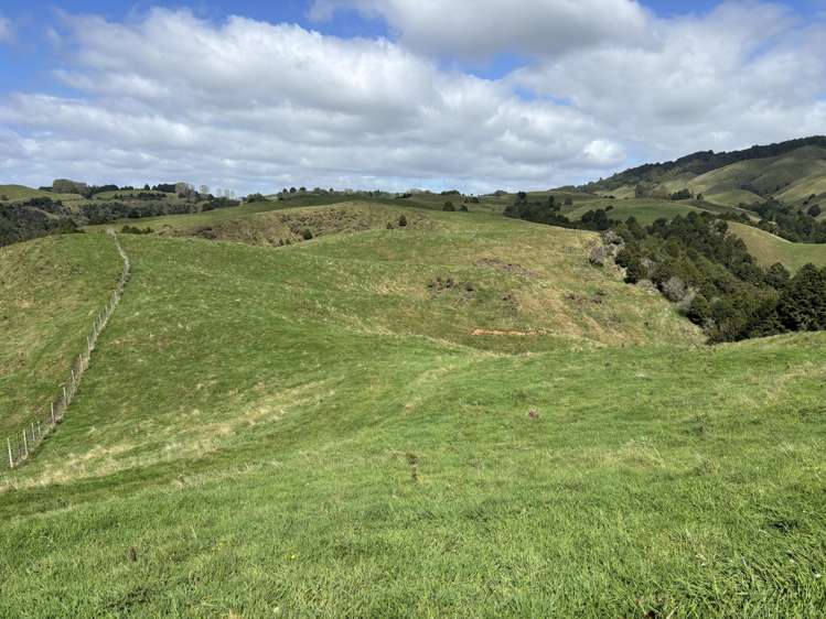 Paraketu Road Waimiha_12