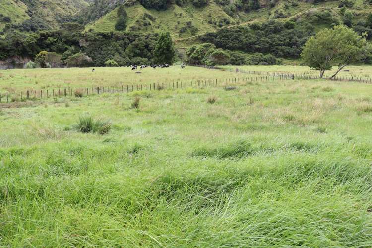 544 Mohakatino Road Mokau_18