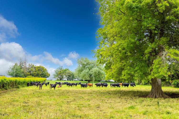 1270 Te Kawa Road Te Kawa_25