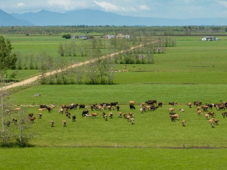 170 Tramline Road Patetonga_14