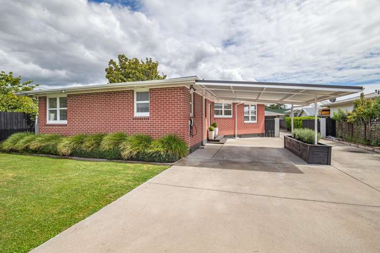 175 Bartholomew Road Levin_14