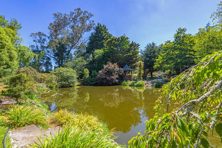 323 Reid Line East Colyton_42