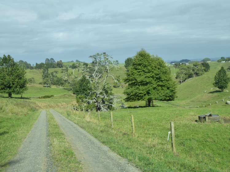 411 Waotu Road Putaruru_12