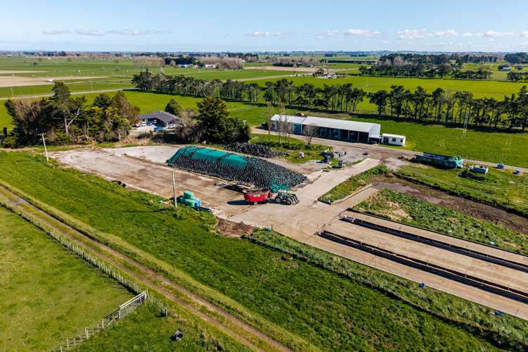 1040 Roberts Line Bunnythorpe_3