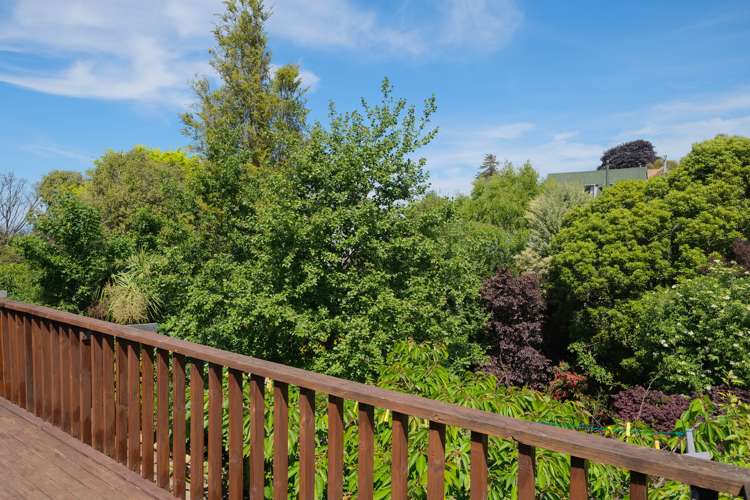 29 Lynwood Avenue Maori Hill_26