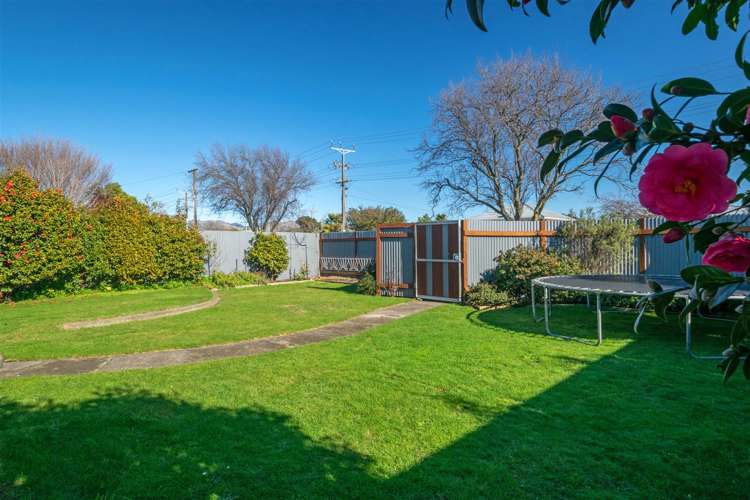 77 Howick Road Redwoodtown_3