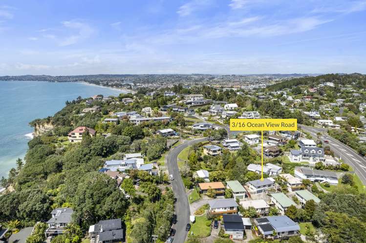 3/16 Ocean View Road Hatfields Beach_26