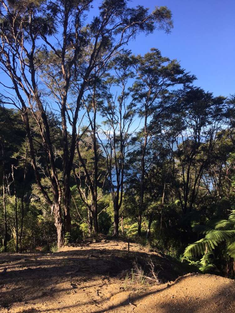 11 Moonraker Way Kaiteriteri_5